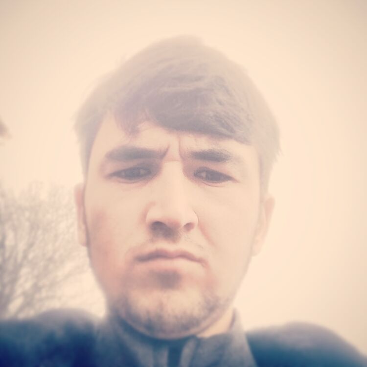  36781158  , 24 ,    