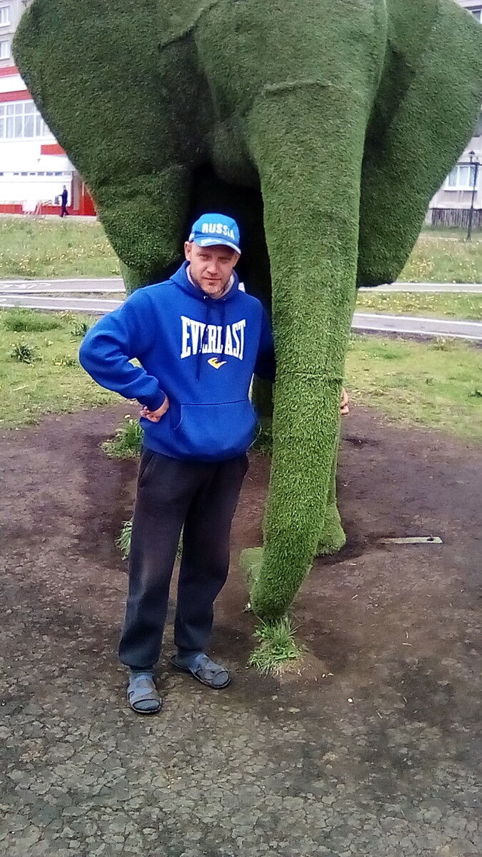 ���� 16590468 ������� ������, 45 ���, ���� ���������� � ������������