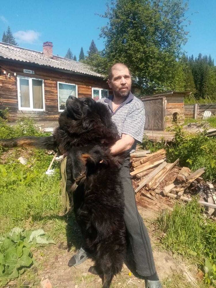 ���������� ������������, ���� ������� ������, 46 ���, ������������ ��� c�������� ���������