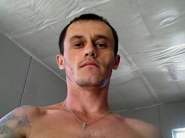  8462418  , 40 ,    