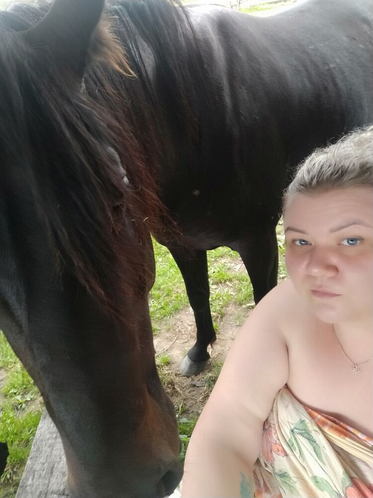  53983578  , 34 ,    -