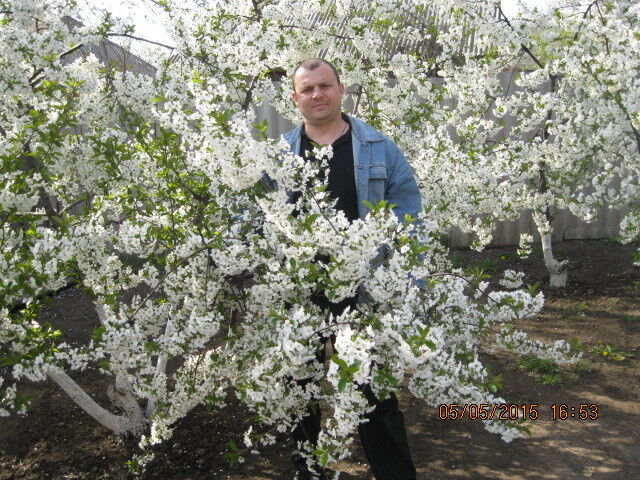  ,   Kotz, 50 ,   