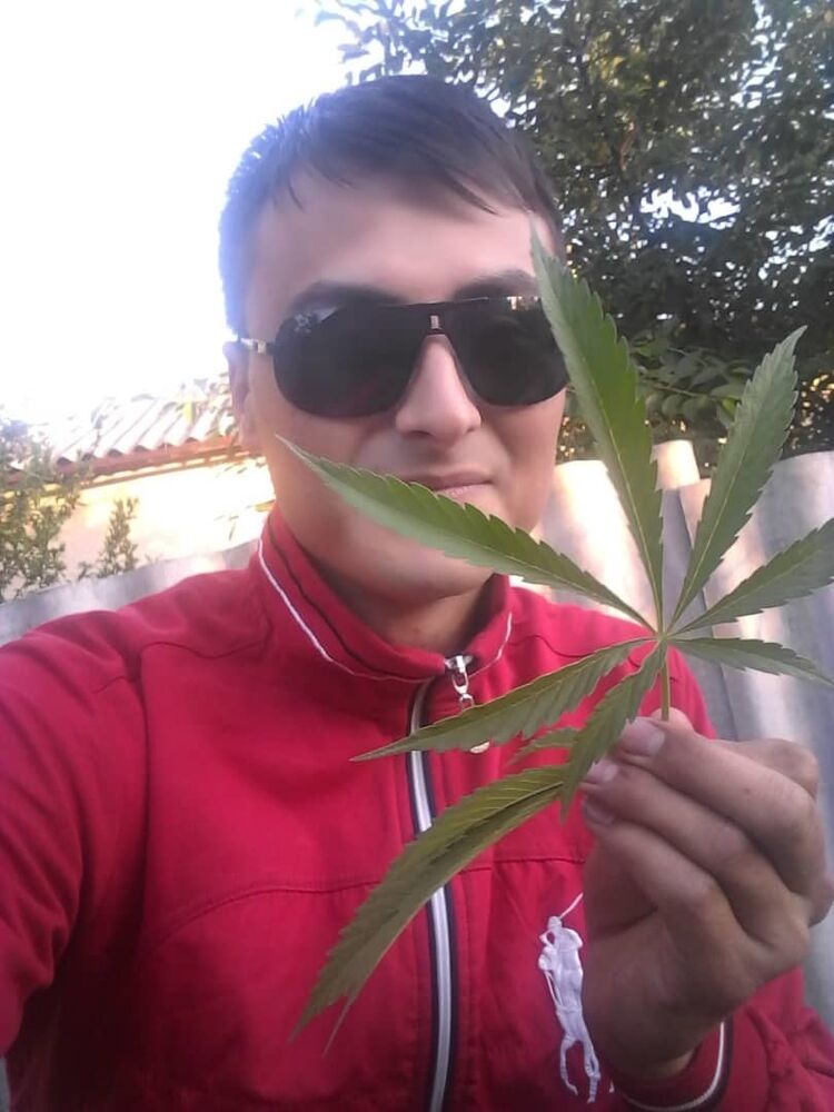  18033998  , 37 ,    