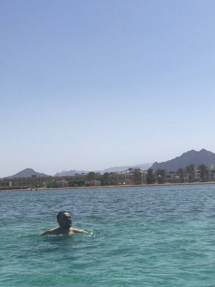 ���� 42135268 ������� �����, 33 ����, ���� ���������� � �����