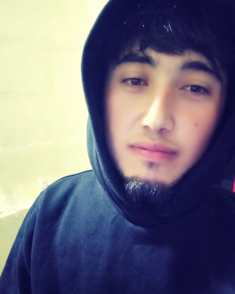  33027388  , 29 ,    