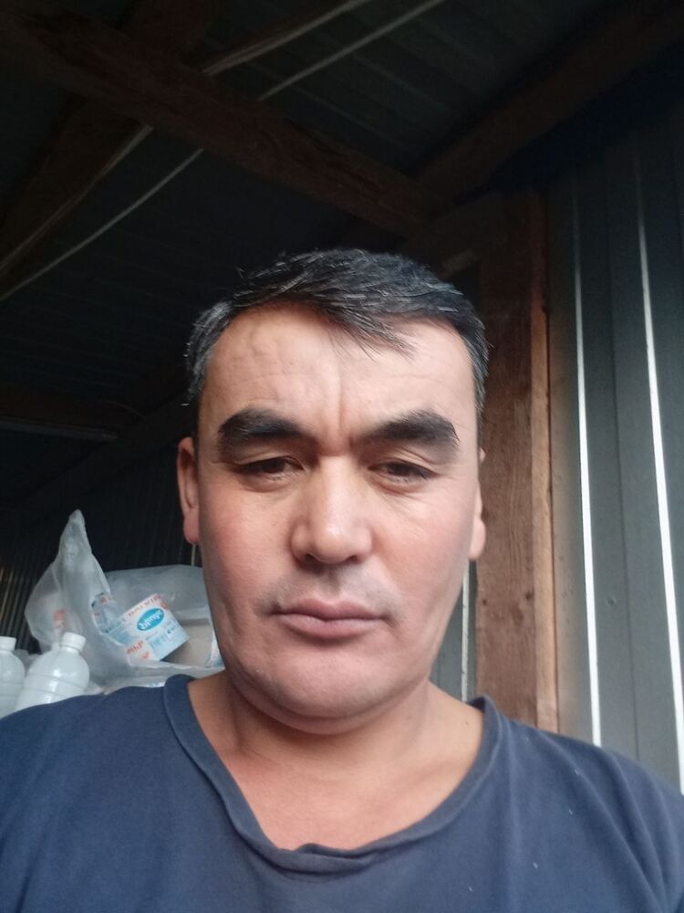  47678688  , 41 ,    