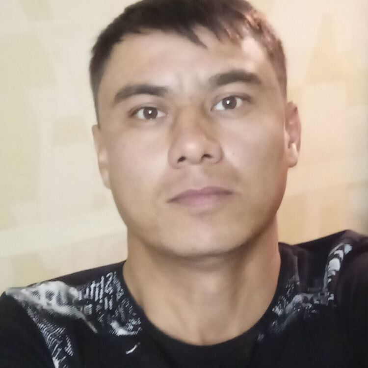  21591468  , 42 ,    
