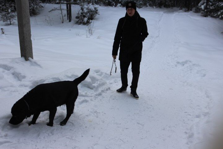 ���������� ������������, ���� ������� ����, 30 ���, ������������ ��� ������, ����� � ���������