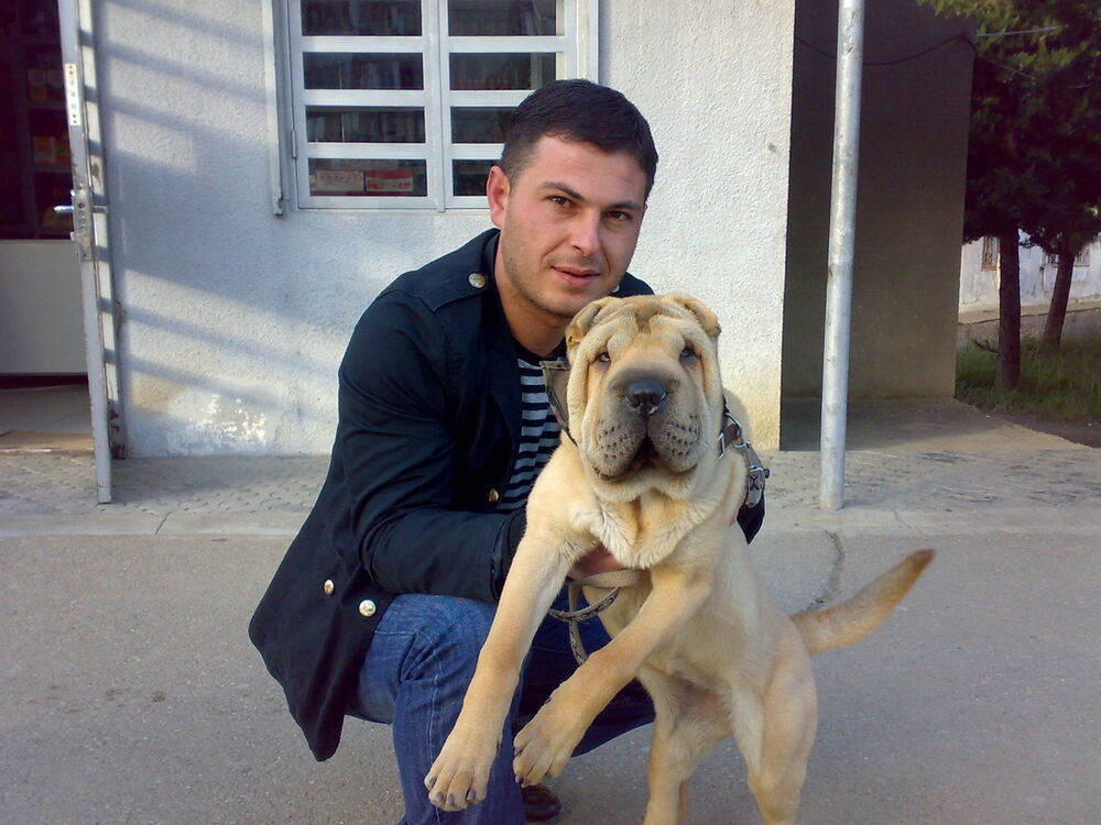  ,   Avto, 41 ,   ,   , c 