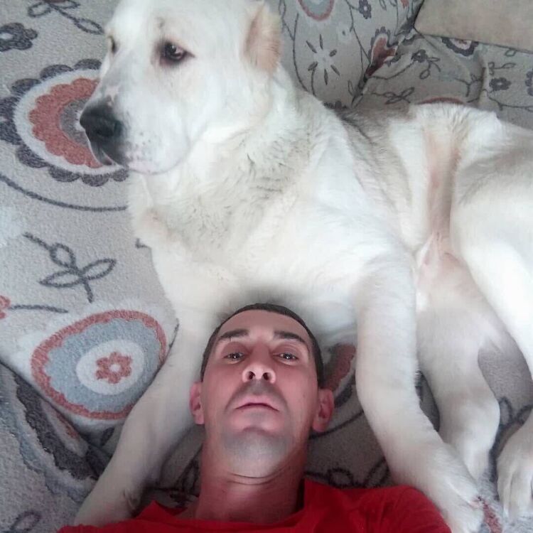 ���������� �����, ���� ������� ��������, 41 ���, ������������ ��� c�������� ���������