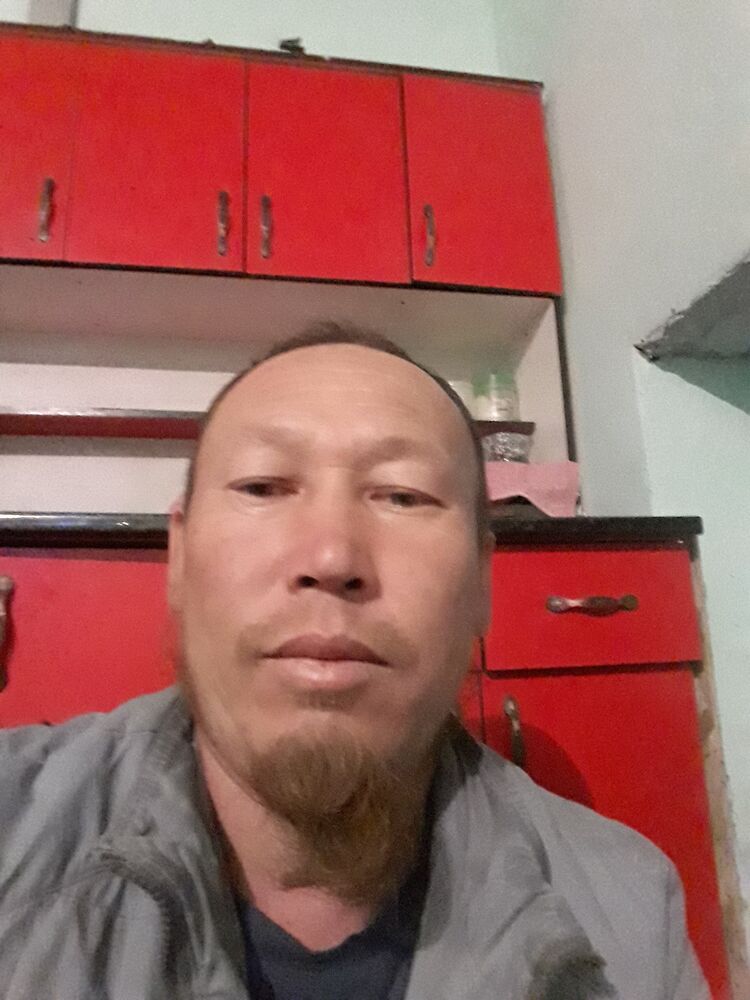  24065208  , 40 ,    