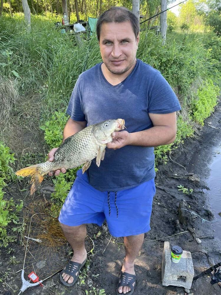 ���� 28327638 ������� ���������, 40 ���, ���� ���������� � ���������