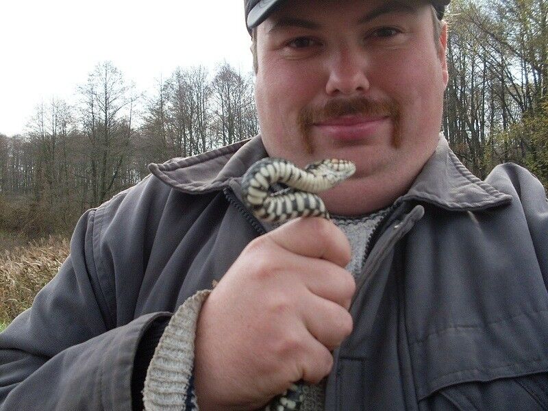 ���� 7358608 ������� ������, 44 ����, ���� ���������� � �������������