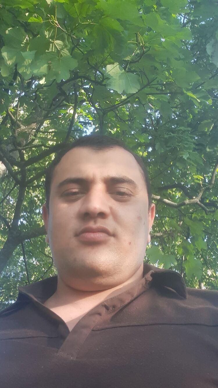  28405778  , 31 ,    