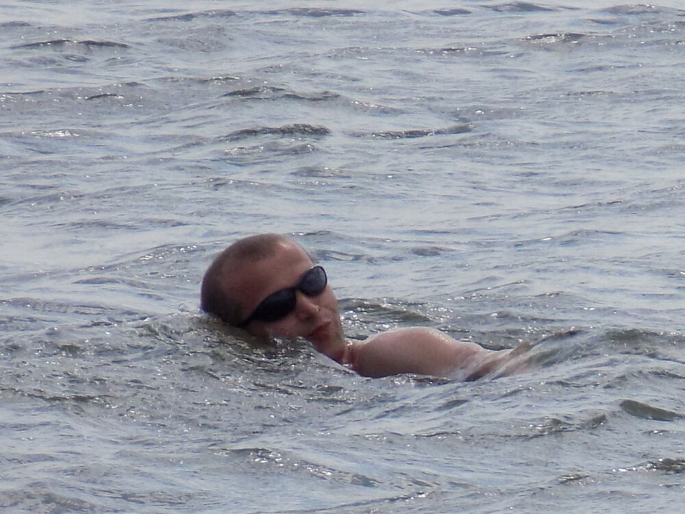 ���� 17482028 ������� ����, 45 ���, ���� ���������� � �����