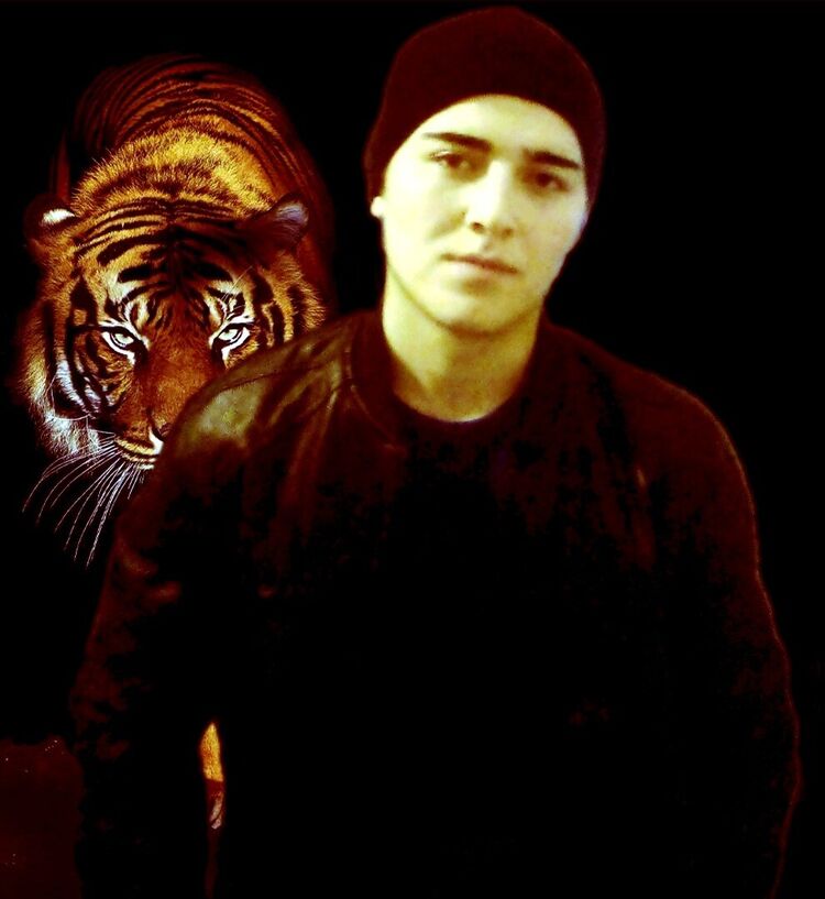 ���������� ������, ���� ������� �����, 28 ���, ������������ ��� ������, ����� � ���������, c�������� ���������, ���������