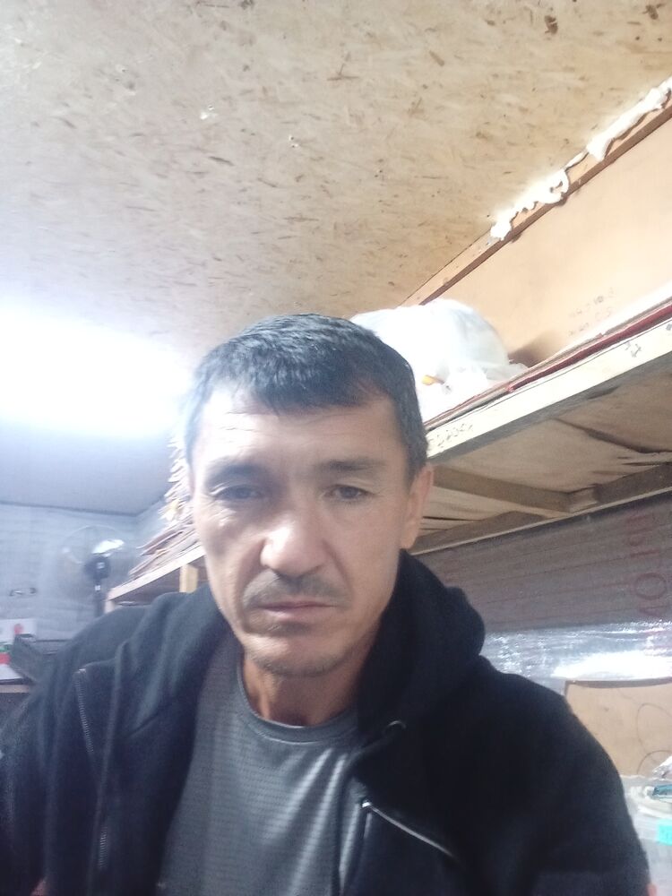  47091988  , 50 ,    