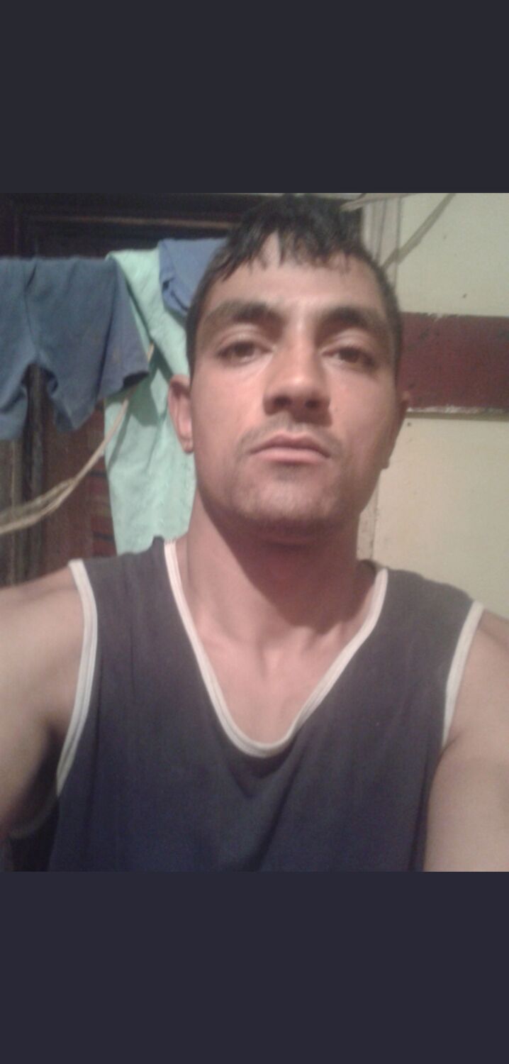  46279258  , 29 ,    