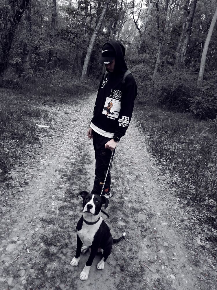 ���� 26685908 ����� ����, 24 ����, ���� ���������� � ����������