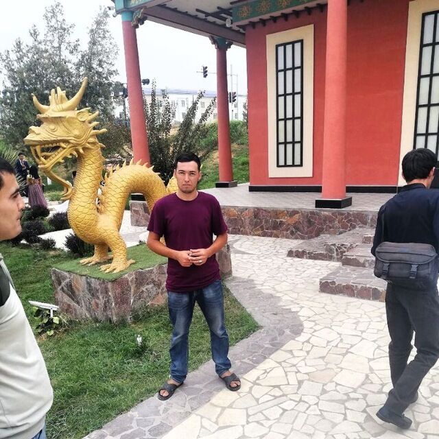  25107958  , 28 ,    