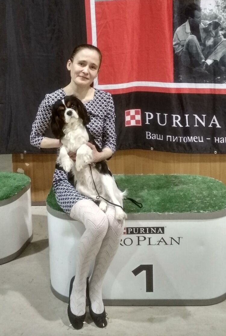 ���� 11957988 ������� ����, 49 ���, ���� ���������� � ��������