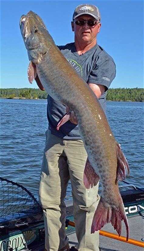 ���� 18577498 ������� ����, 58 ���, ���� ���������� � �����