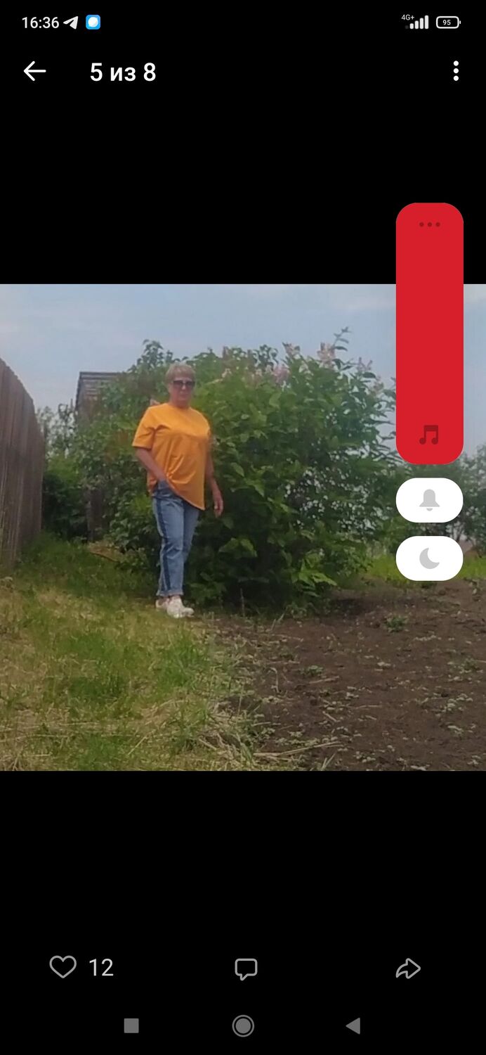  39169538  , 54 ,    