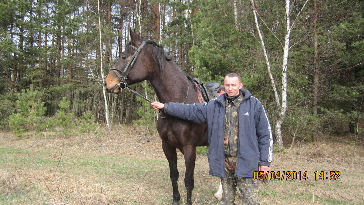 ���� 10069118 ������� ������, 48 ���, ���� ���������� � ������