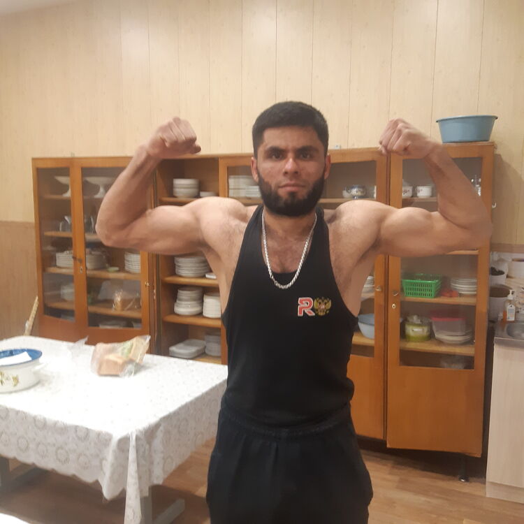  26235618  , 28 ,    