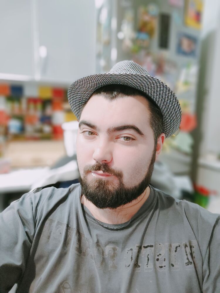 ���� 33613408 ������� ���������, 32 ����, ���� ���������� � ����������