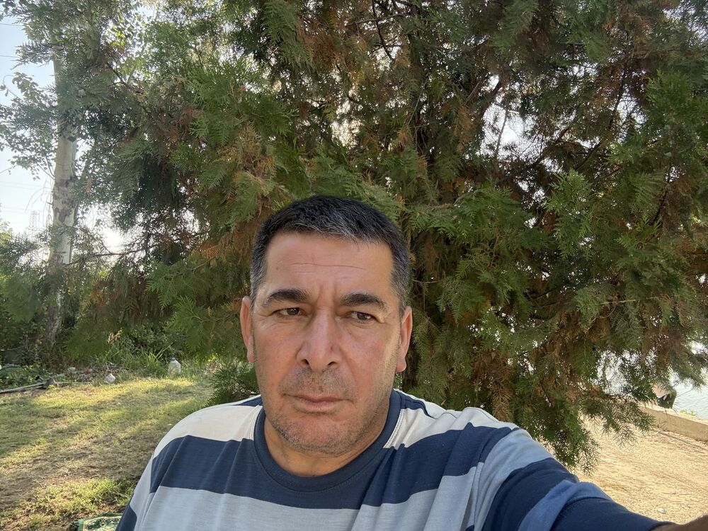 ���� 56190168 ������� ���������, 49 ���, ���� ���������� � ��������