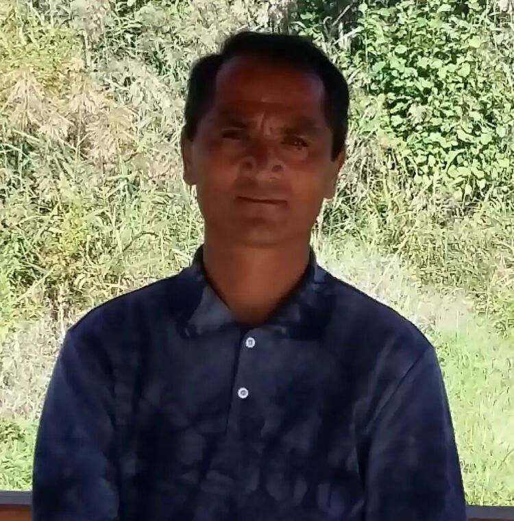  20956648  , 51 ,    
