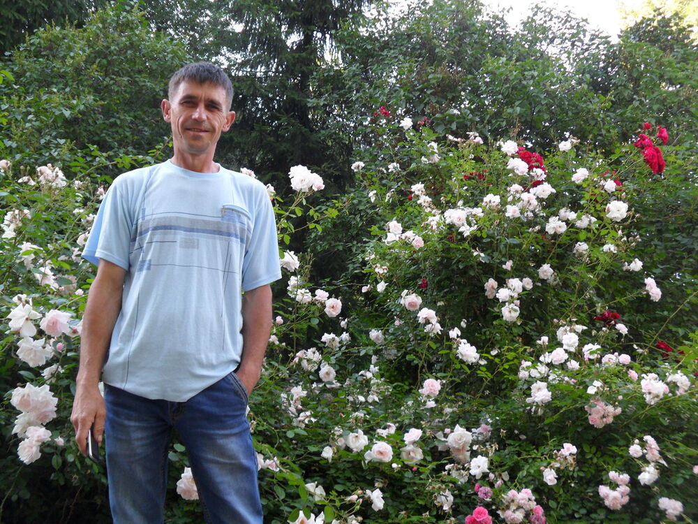   ,   , 52 ,   