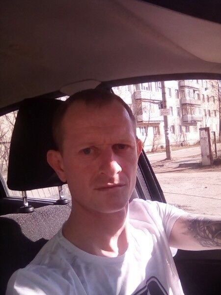 ���� 39331548 ������� ������, 40 ���, ���� ���������� � ���������