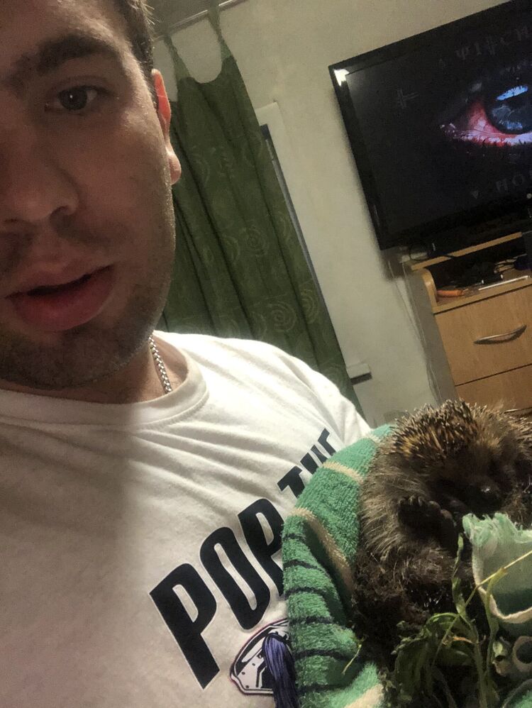 ���� 52836688 ������� ������, 26 ���, ���� ���������� � ��������