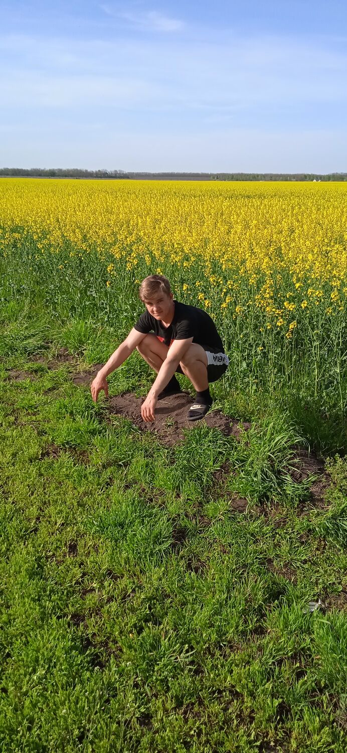 ���� 28083338 ����� �����, 22 ����, ���� ���������� � ��������