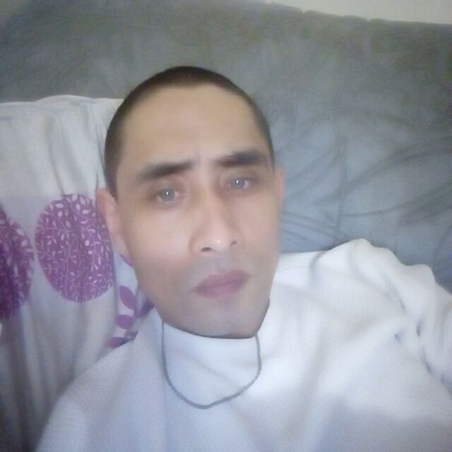 47534958  , 33 ,    