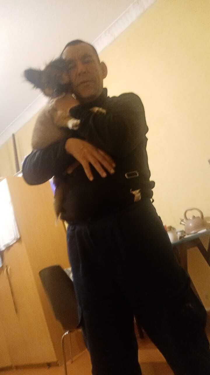 ���� 40267848 ������� ������, 44 ����, ���� ���������� � �������������