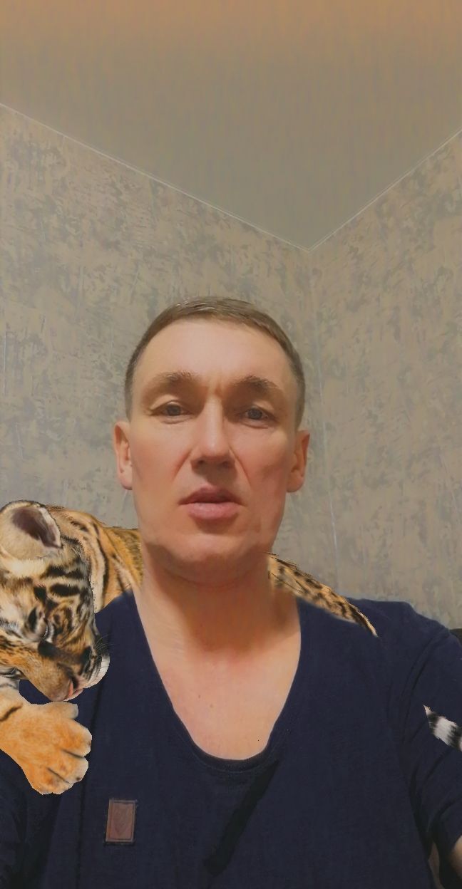 ���������� �����������, ���� ������� �������, 38 ���, ������������ ��� ������, ����� � ���������