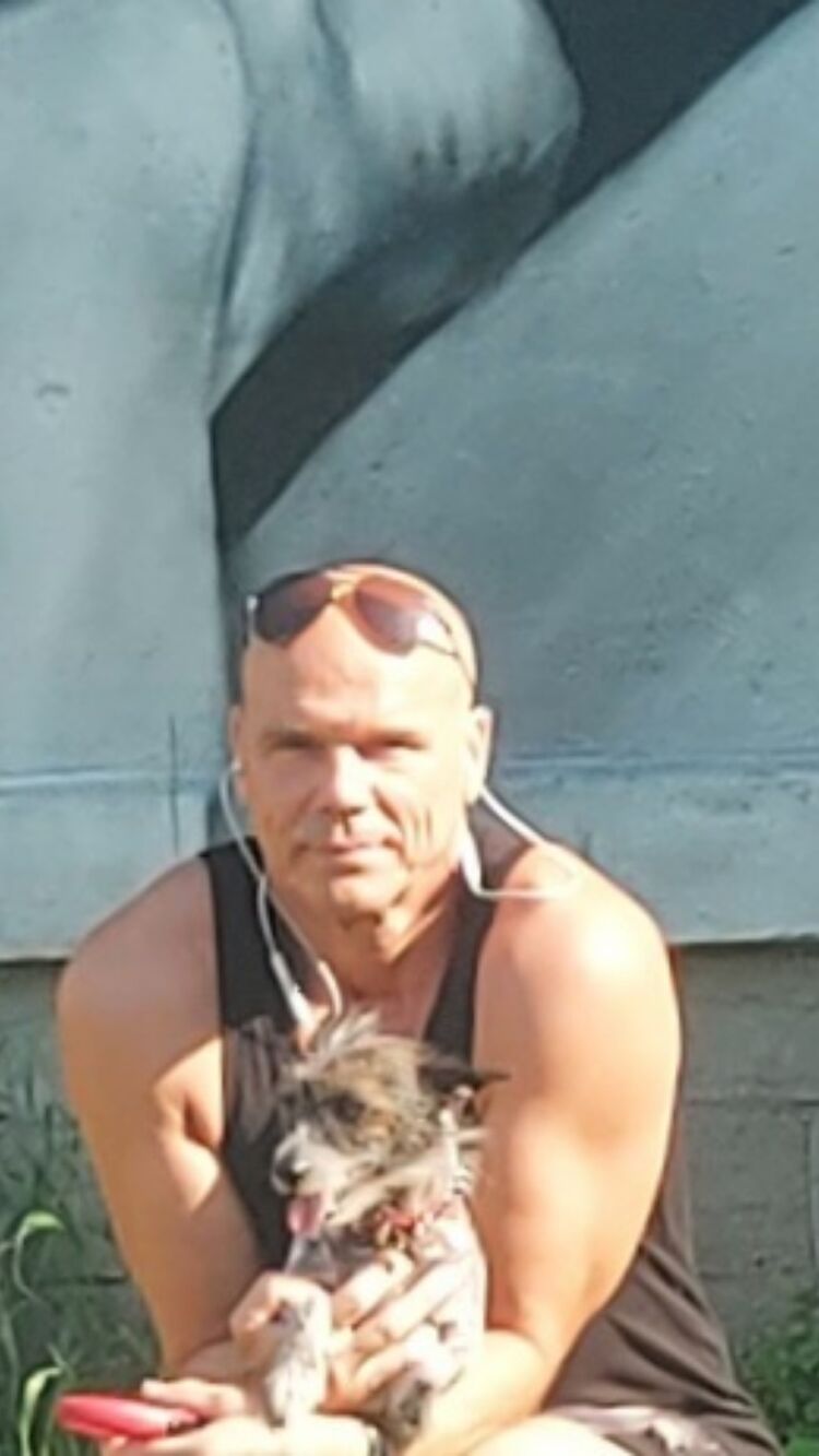 ���� 30658678 ������� �������, 65 ���, ���� ���������� � �����-����������