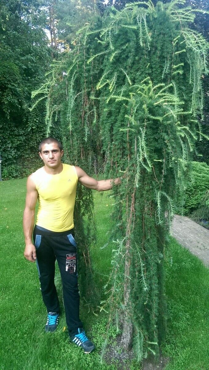  9252048  Aleksey, 31 ,    
