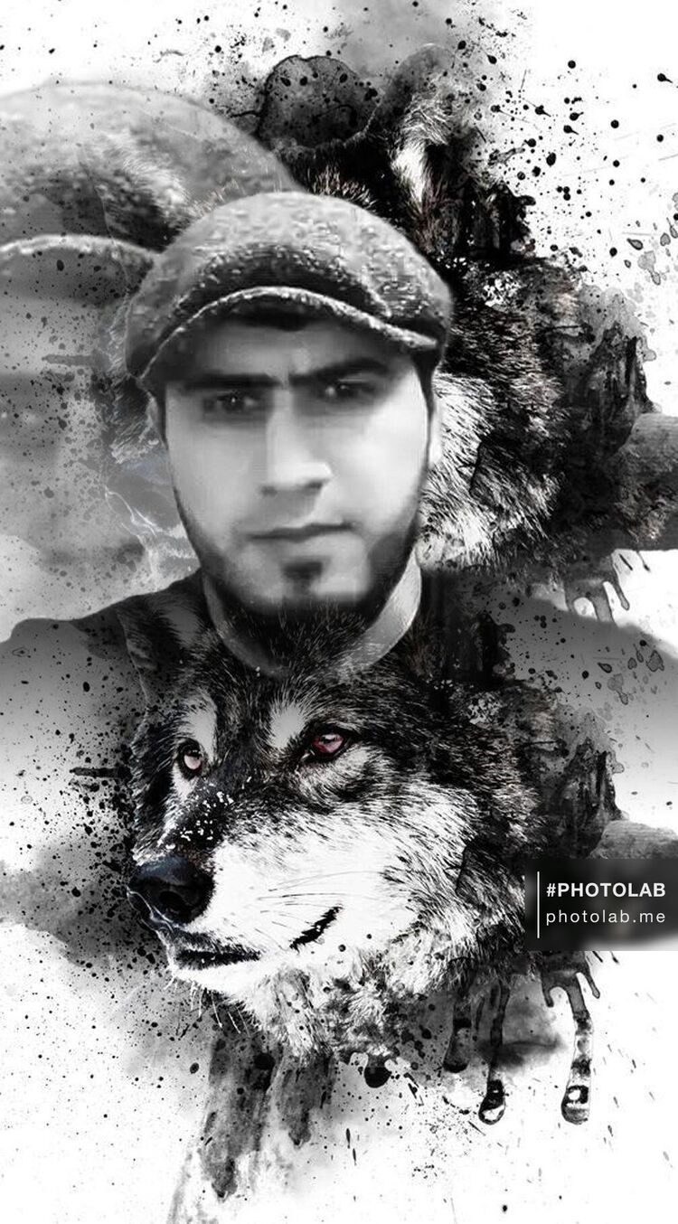 ���������� ��������, ���� ������� Somon, 29 ���, ������������ ��� ������, ����� � ���������