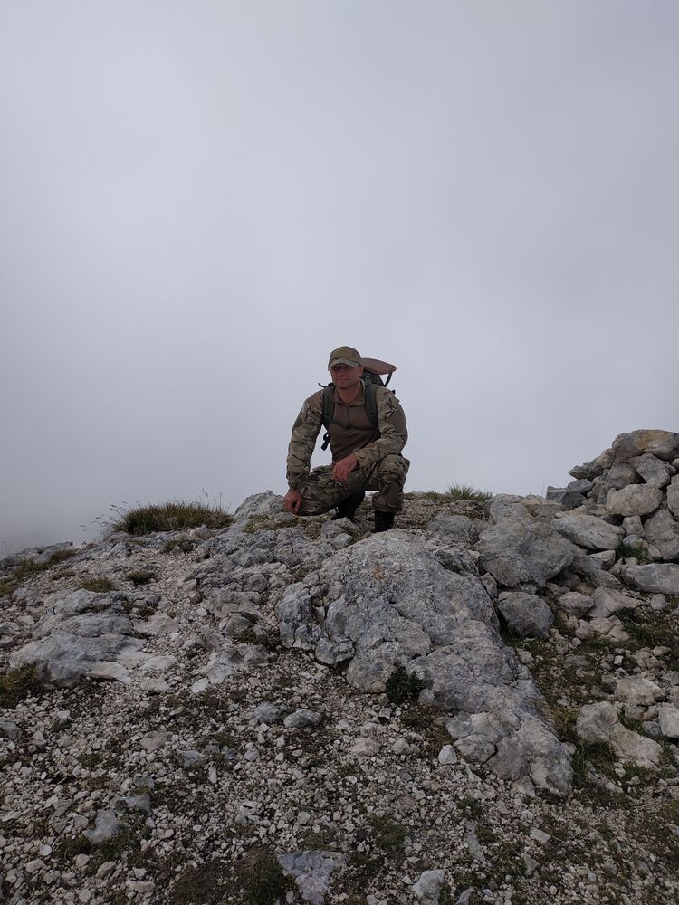 ���� 24590038 ������� �������, 44 ����, ���� ���������� � ����������