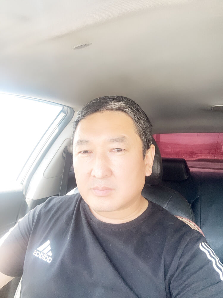  43526178  , 42 ,    -