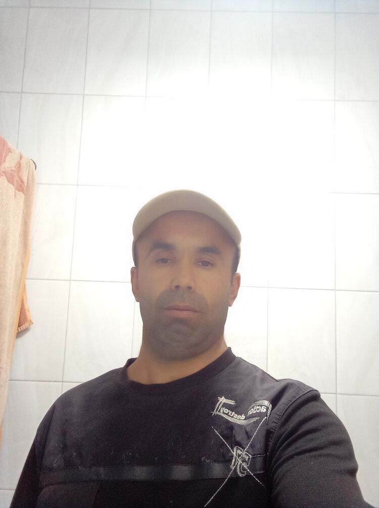  41956068  , 41 ,    
