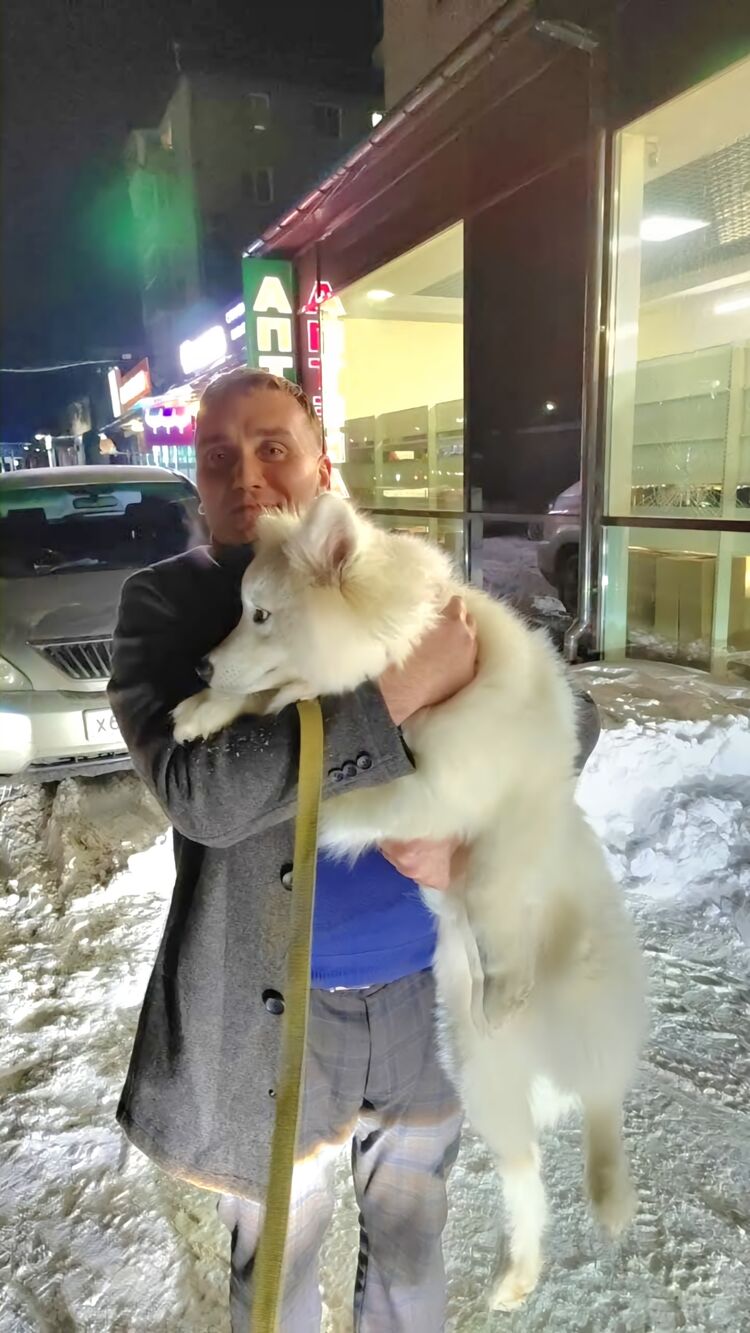 ���� 41112978 ������� ������, 39 ���, ���� ���������� � ������