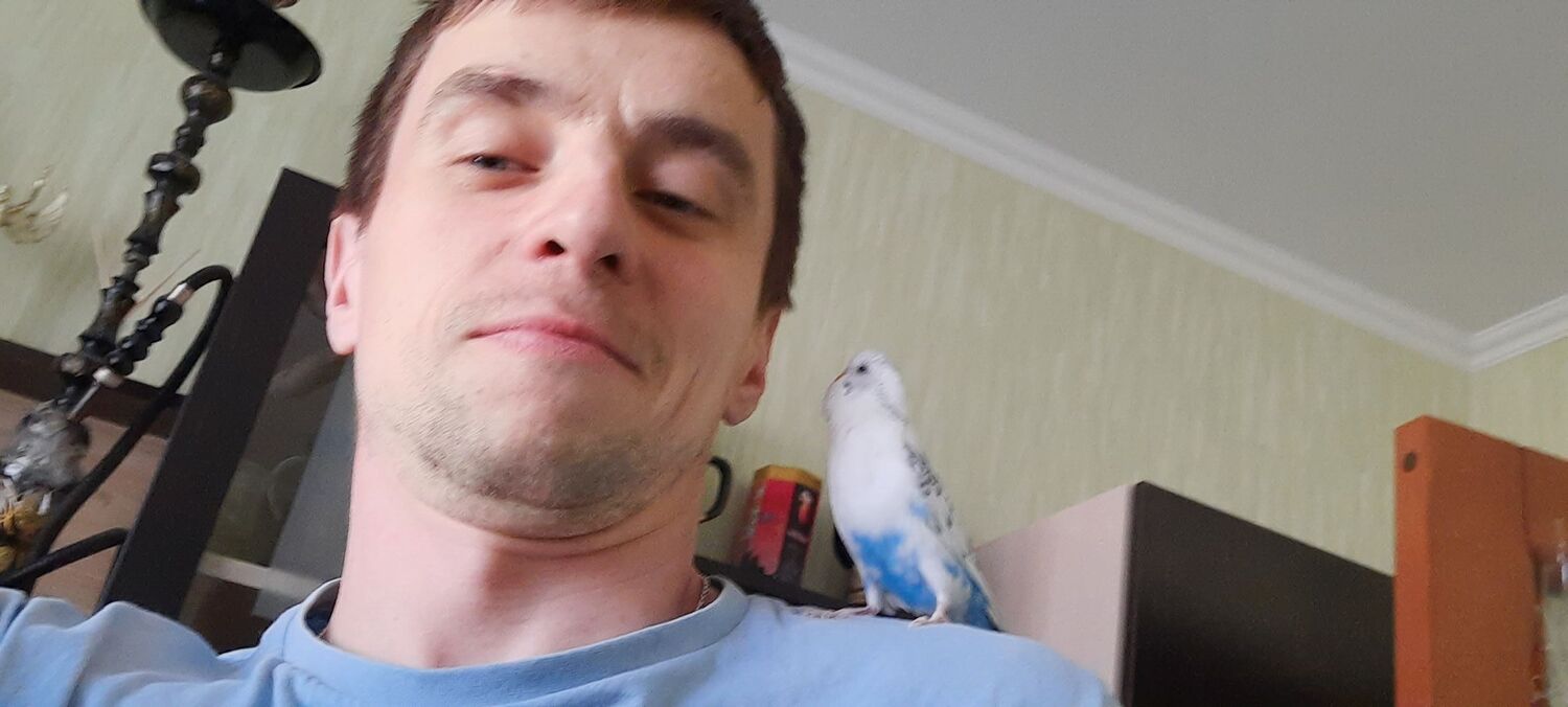 ���������� ������, ���� ������� ������, 39 ���, ������������ ��� c�������� ���������