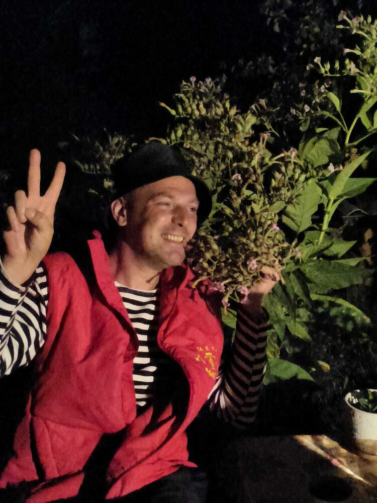  54335798  , 41 ,    -