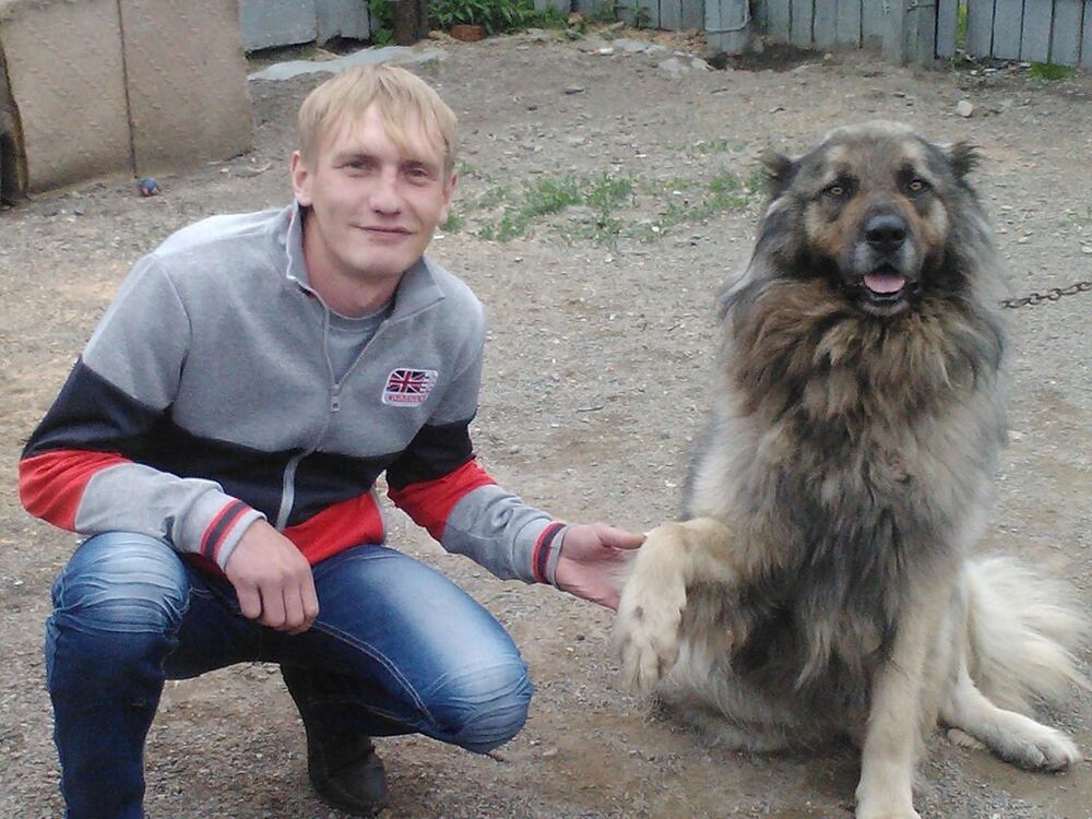 ���� 10404168 ������� ������, 40 ���, ���� ���������� � ����������