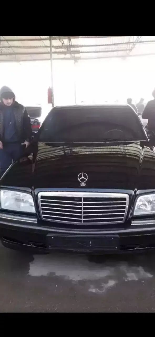 ���� 31368198 ������� �����, 34 ����, ���� ���������� � ����������